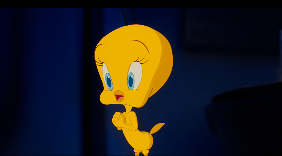 Animation Supervisor Ben Anderson Coyoye Tweety